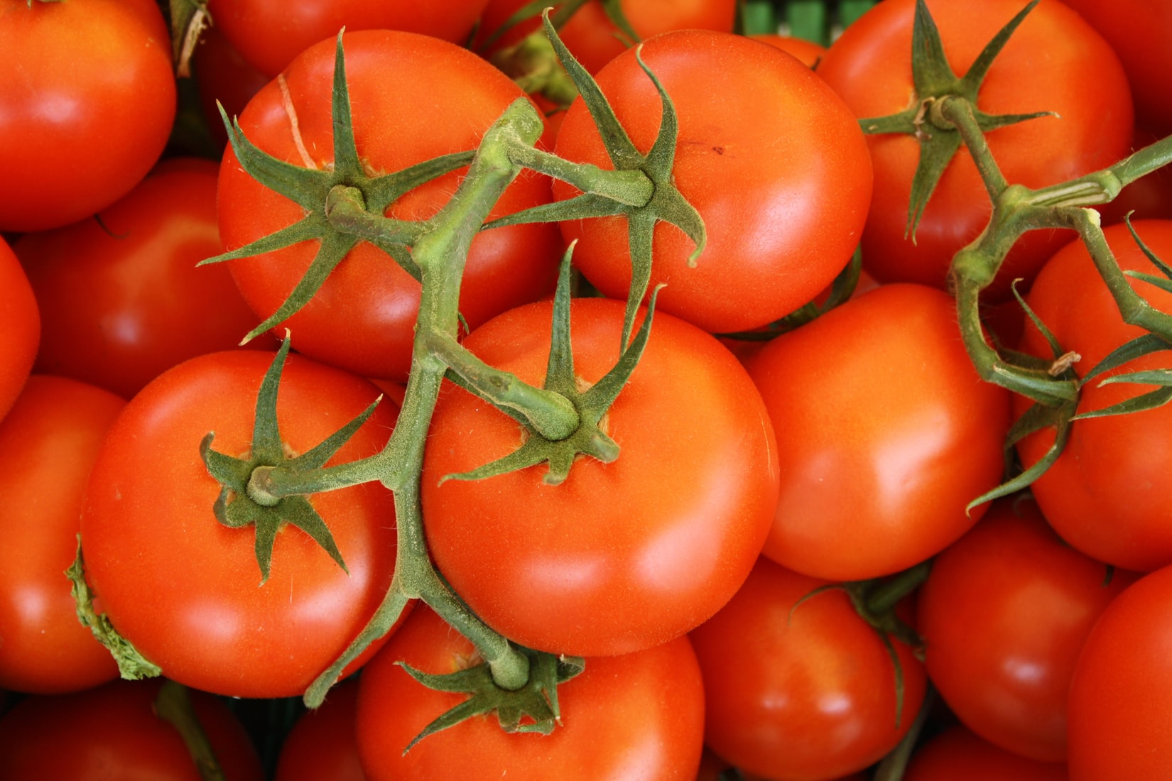Tomatoes are nutritious and delicious, both for your skin and your stomach.