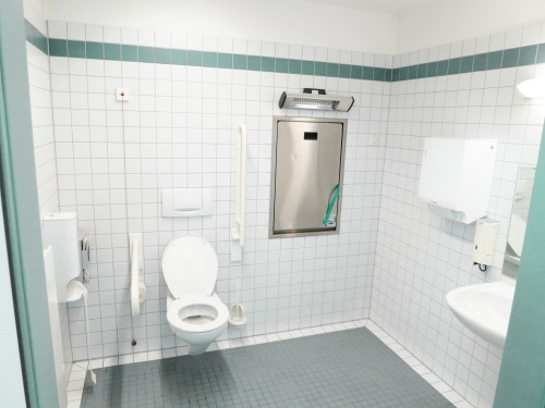 Irritable bowel syndrome is rather common amongst Singaporean adults