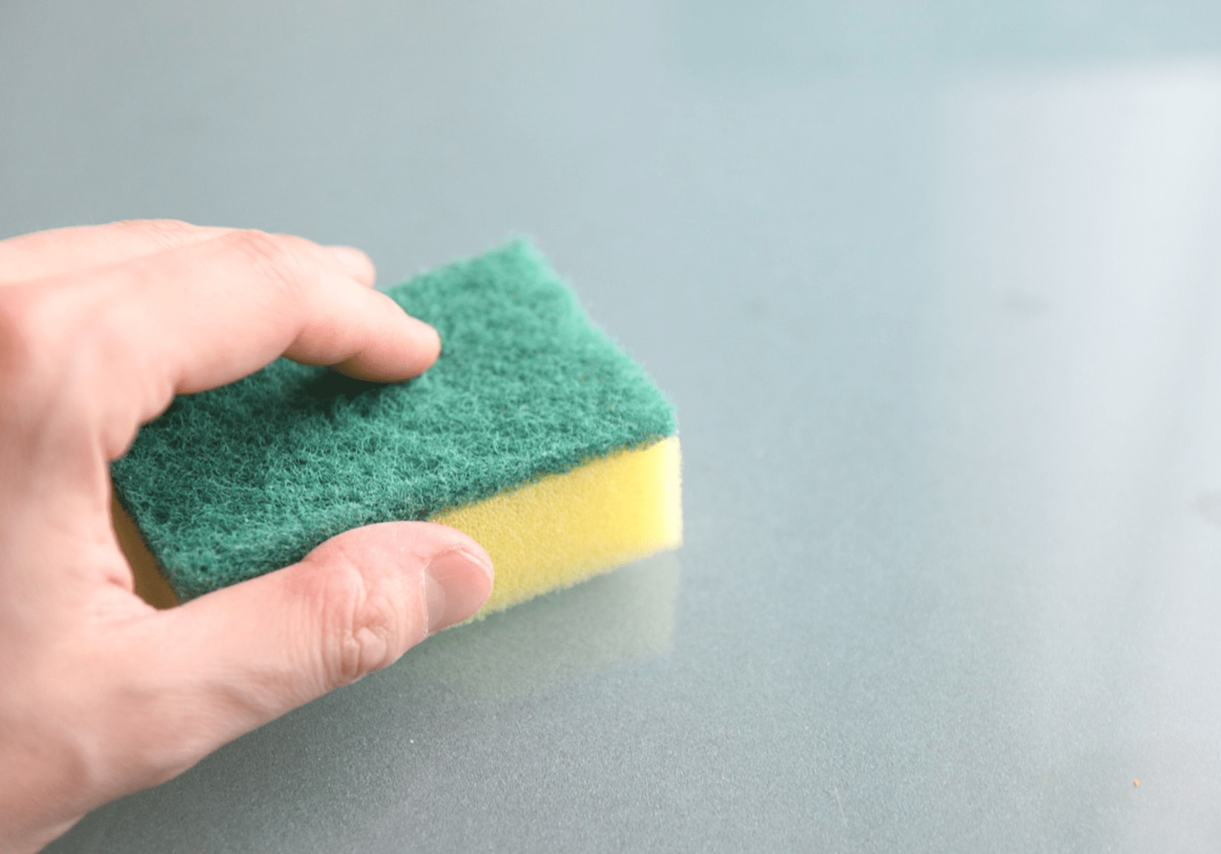 Your kitchen sponge may attract more germs than you realise.
